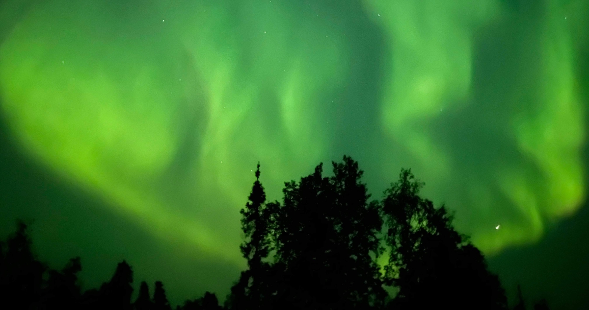Aurora tours